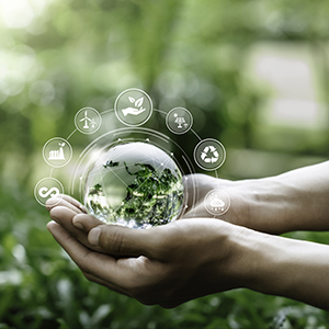 formation RSE - transition environnementale